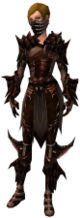 Ranger Primeval armor f.jpg