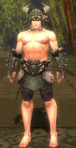 Warrior Elite Charr Hide armor m gray front arms legs.jpg