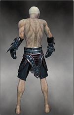 Necromancer Asuran armor m gray back arms legs.jpg