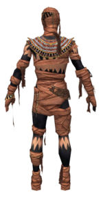 Ritualist Ancient armor m dyed back.jpg