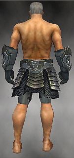 Warrior Elite Templar armor m gray back arms legs.jpg