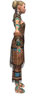 Monk Elite Luxon armor f dyed right.jpg