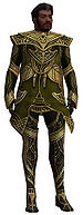 Norgu Primeval armor.jpg