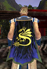 Guild Man Flayers Incorporated cape.jpg