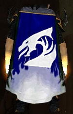 Guild Dragons Of The Winter cape.jpg