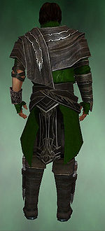 Shining Blade Uniform costume m green back.jpg