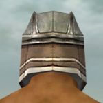 Warrior Istani armor m gray back head.jpg