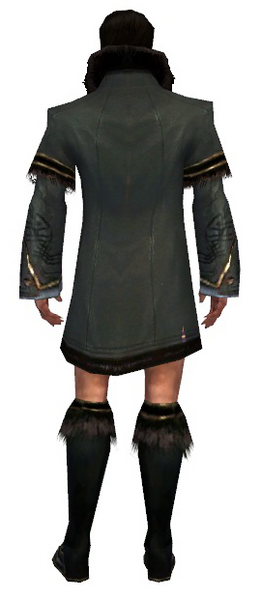 File:Mesmer Norn armor m gray back chest feet.png
