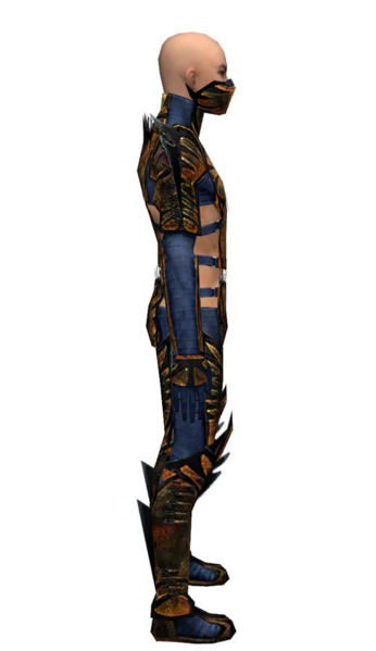 File:Assassin Elite Exotic armor m dyed right.jpg