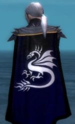 Guild Forever Knights cape.jpg