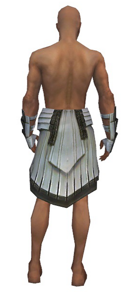 File:Paragon Ancient armor m gray back arms legs.png