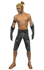 Assassin Canthan armor m gray front arms legs.png