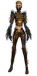 Assassin Elite Exotic armor f.jpg