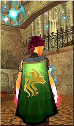 Guild Society Of Souls cape.jpg