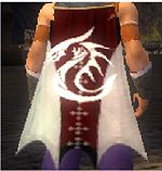 Guild The Unholy Army Of The Night cape.jpg