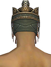Ritualist Elite Imperial armor m gray back head.jpg