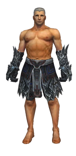 File:Warrior Silver Eagle armor m gray front arms legs.png