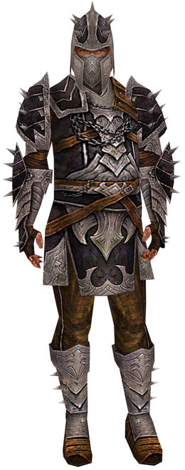 Ebon Vanguard Soldier - Guild Wars Wiki (GWW)