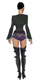 Mesmer Rogue armor f gray back chest feet.png