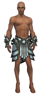 Paragon Primeval armor m gray front arms legs.png
