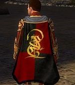 Guild The Guild Of Alchemy cape.jpg