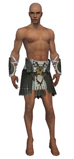 Paragon Elite Sunspear armor m gray front arms legs.png