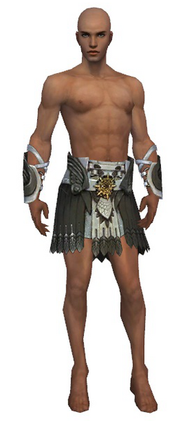 File:Paragon Elite Sunspear armor m gray front arms legs.png