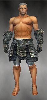 Warrior Elite Templar armor m gray front arms legs.jpg