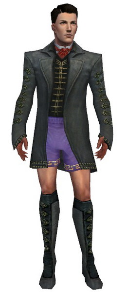 File:Mesmer Elite Enchanter armor m gray front chest feet.png