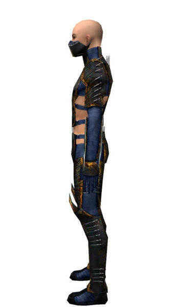 File:Assassin Exotic armor m dyed left.jpg