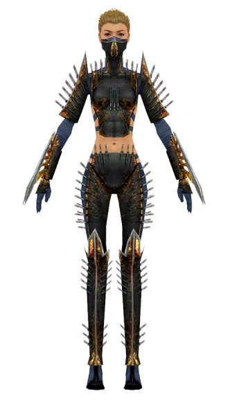File:Assassin Exotic armor f dyed front.jpg