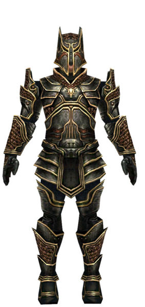 File:Warrior Kurzick armor m dyed front.jpg