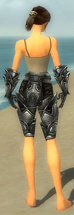 Warrior Obsidian armor f gray back arms legs.jpg