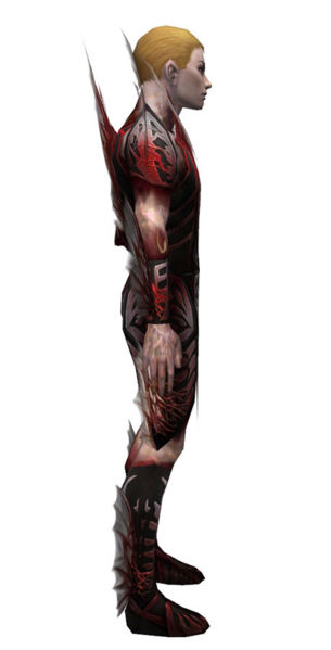File:Necromancer Primeval armor m dyed right.jpg
