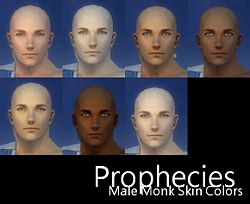 Prophecies Male Monk Skin Colors.JPG