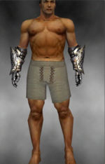 Warrior Ironfist Gauntlets armor m gray front.jpg