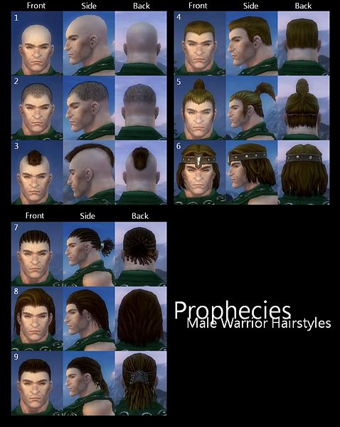 File:Prophecies Male Warrior Hairstyles.JPG