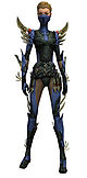 Assassin Elite Imperial armor f.jpg