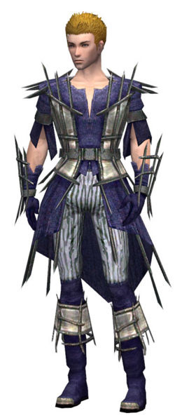 File:Elementalist Primeval armor m.jpg