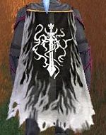 Guild Knights Of The Forgottenorder cape.jpg