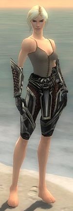 Warrior Elite Kurzick armor f gray front arms legs.jpg