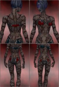Screenshot Necromancer Elite Scar Pattern f dyed Red.jpg