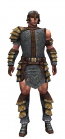 Warrior Krytan armor m.jpg