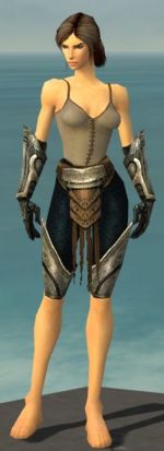 Warrior Sunspear armor f gray front arms legs.jpg