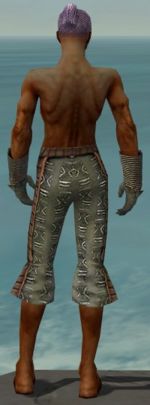Elementalist Istani armor m gray back arms legs.jpg