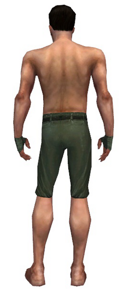 File:Mesmer Luxon armor m gray back arms legs.png