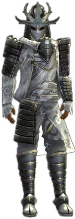 Aegis of Unity costume m front.png