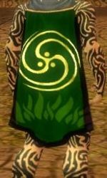 Guild Sorcerers Of Light And Darkness Cape.JPG