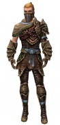 Ranger Luxon armor m.jpg