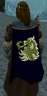 Guild Knightly Order Of The Lion cape.jpg